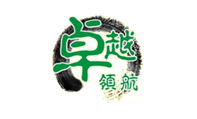 金沙检测线路js95案例:卓越领航企业管理咨询公司